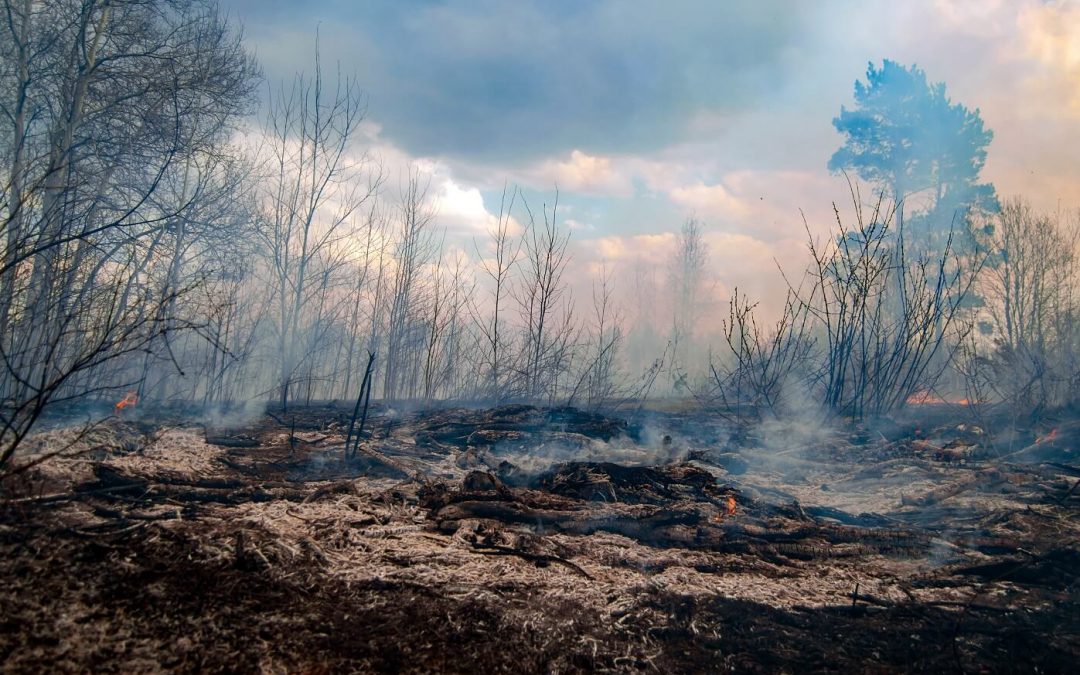 6 Climate Migration Books That Will Prepare You for the Future