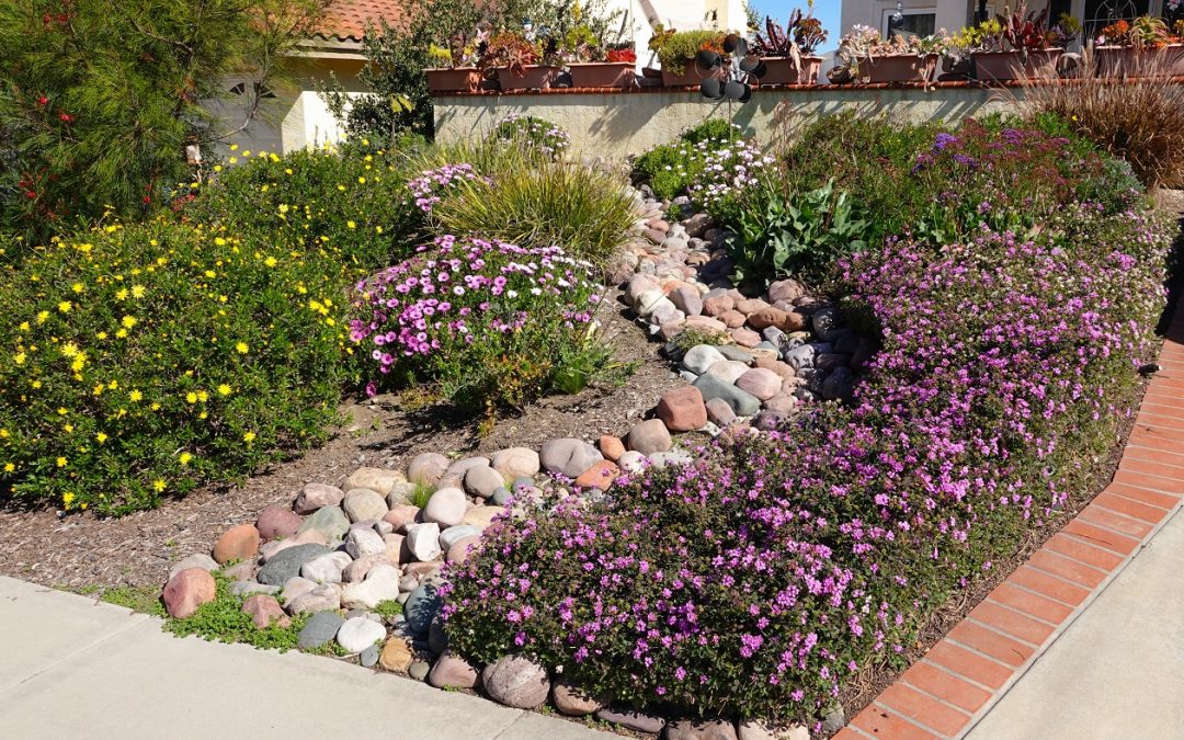 Naturescaping: The Sustainable Alternative to Grass