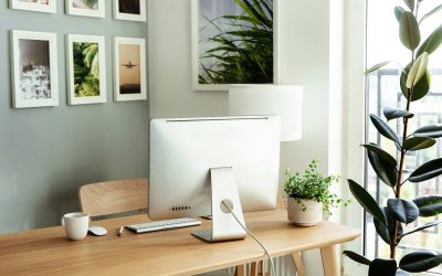 20 Eco Friendly Lifestyle Blogs and Sites